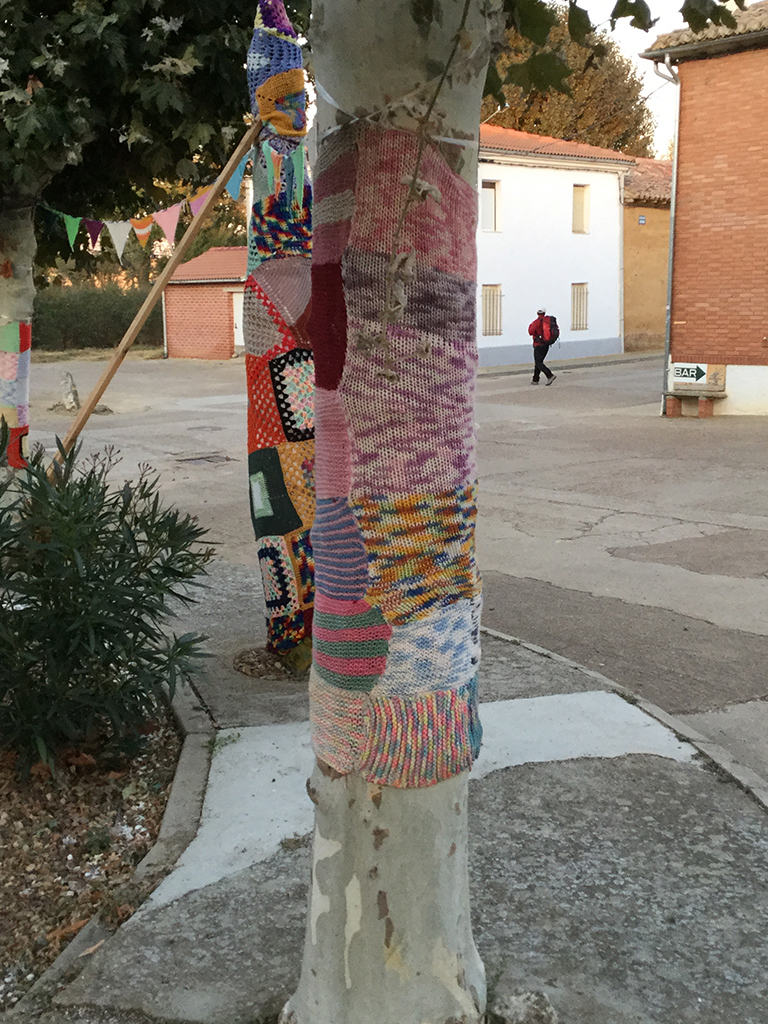 The well loved trees of Moratinos