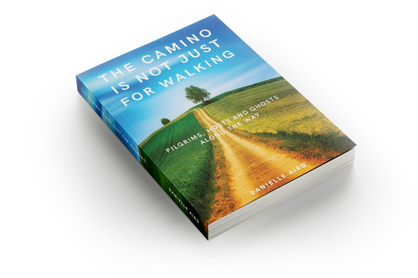 Mockup of The Camino is not just for walking by Danielle Aird