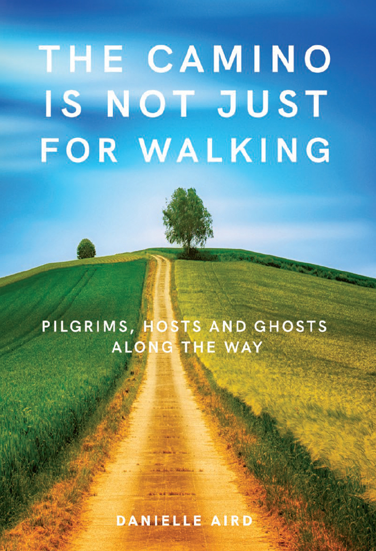 The Camino is not just for Walking by Danielle Aird